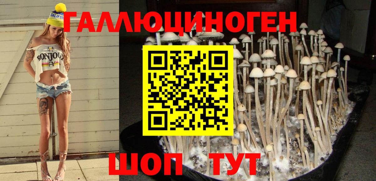 Галлюциногенные грибы Cubensis Прохладный